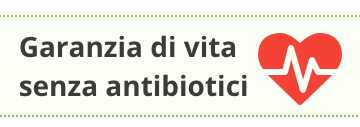 no antibiotici